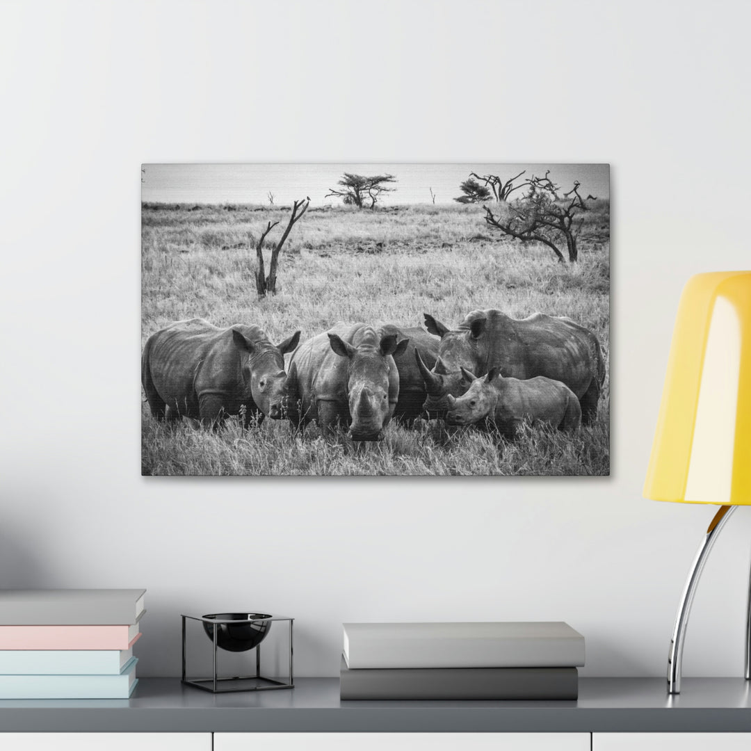 Rhino Family in Black and White - Canvas