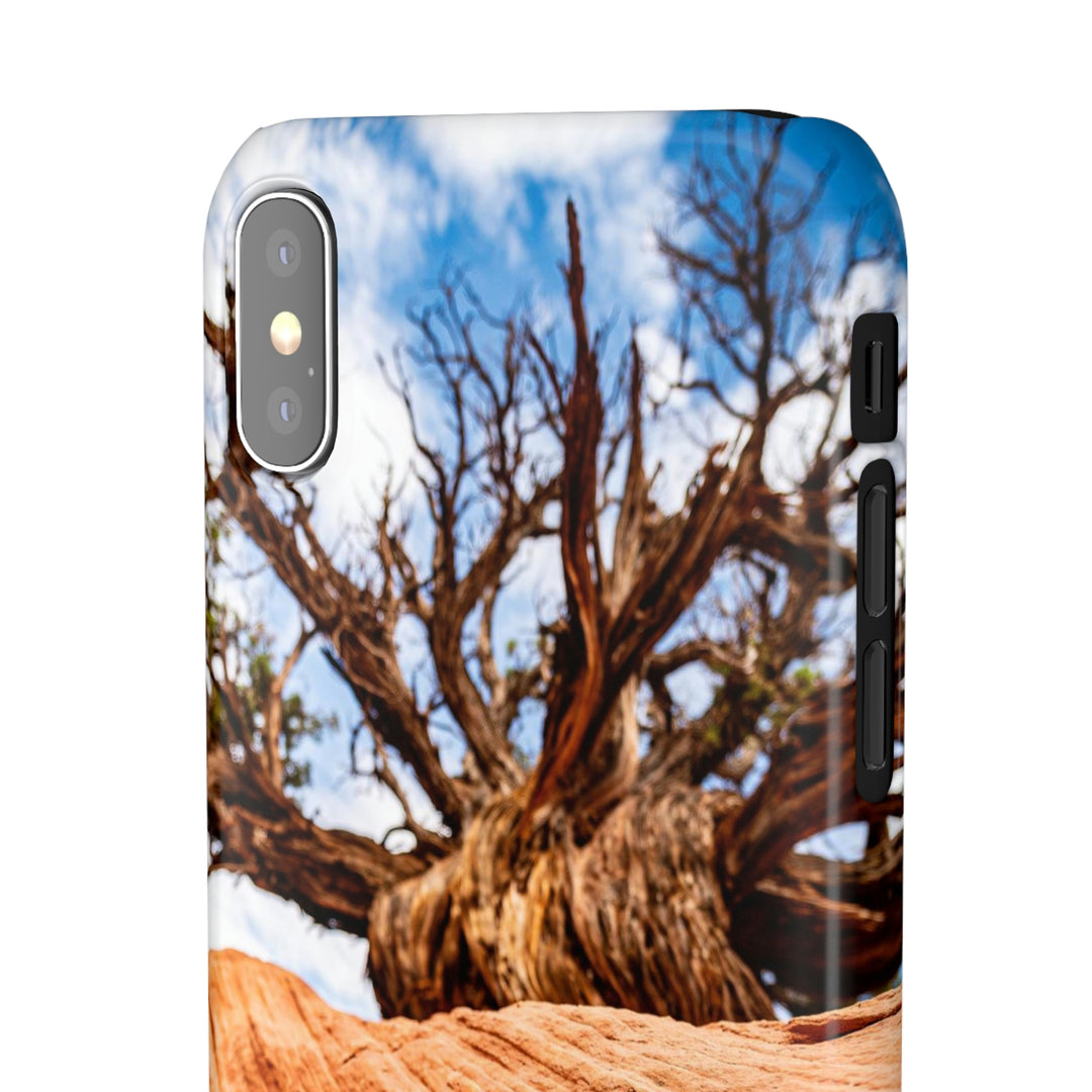 Desert Reach - Phone Case