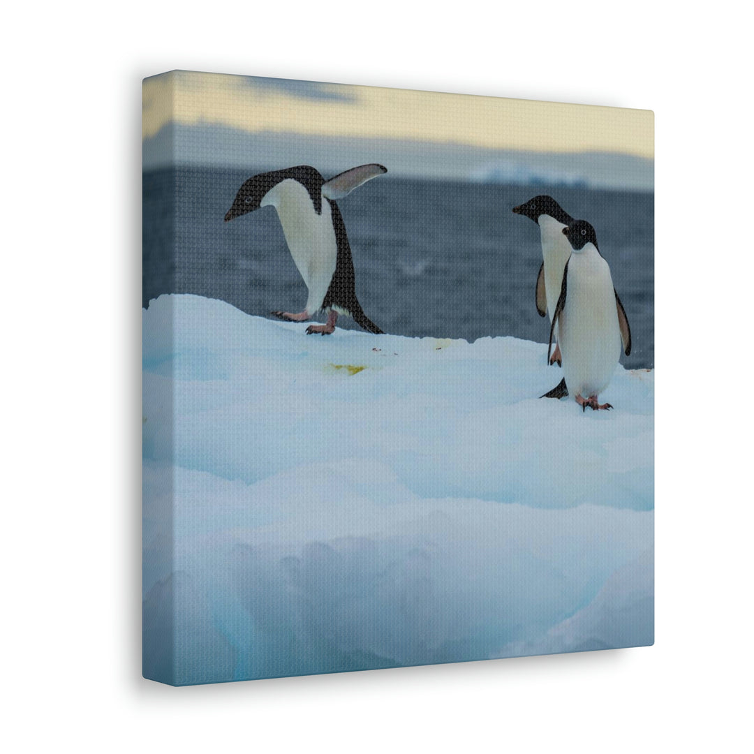 Penguin Dance - Canvas