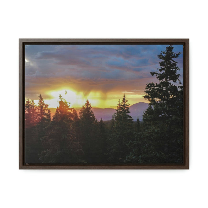 Rainy Sunset Through the Trees - Canvas with Frame