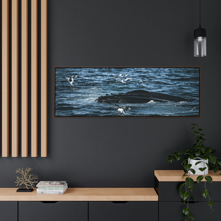 Humpback Hello - Canvas with Frame