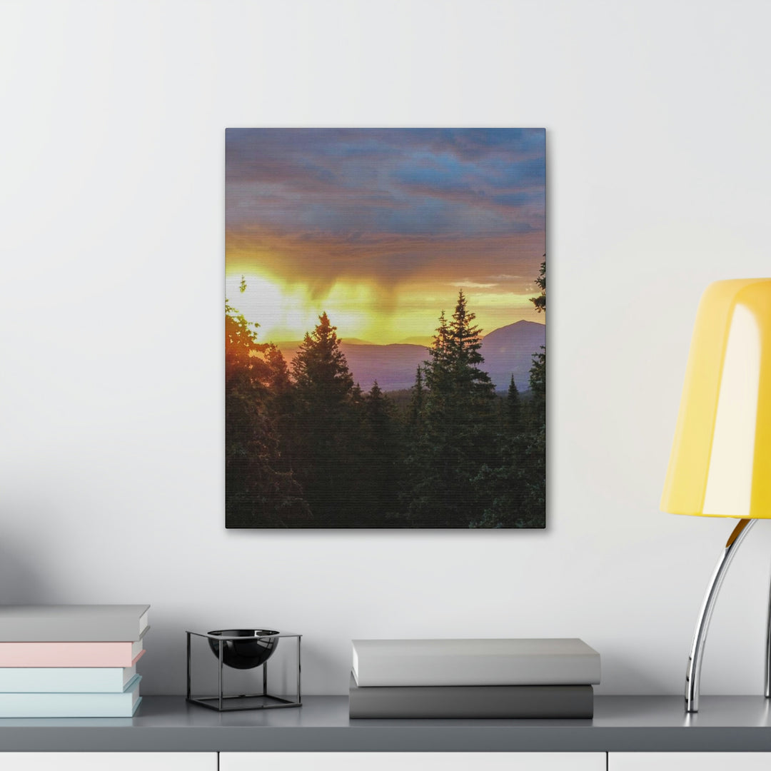 Rainy Sunset Through the Trees - Canvas