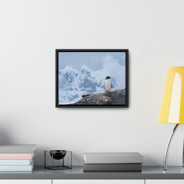 Poised Penguin - Canvas with Frame