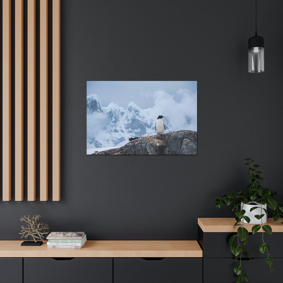 Poised Penguin - Canvas