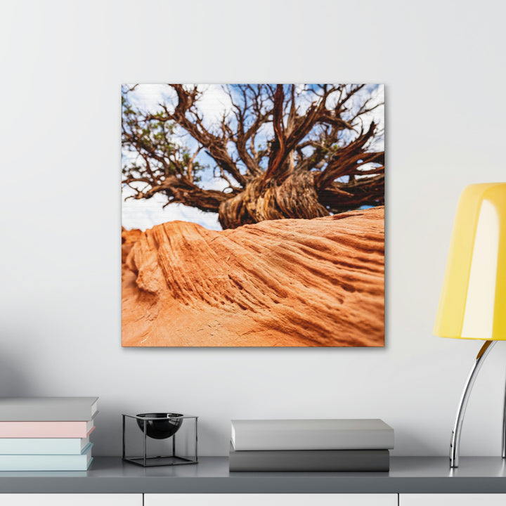 Desert Reach - Canvas