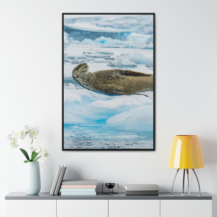 Leopard Seal Relaxing - Canvas with Frame