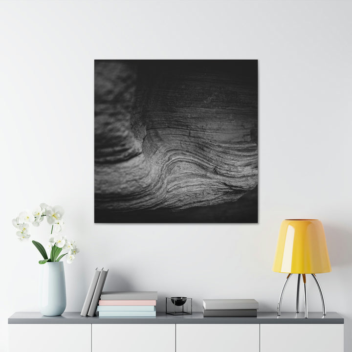 Sedimentary Rock Curves in Black and White - Canvas