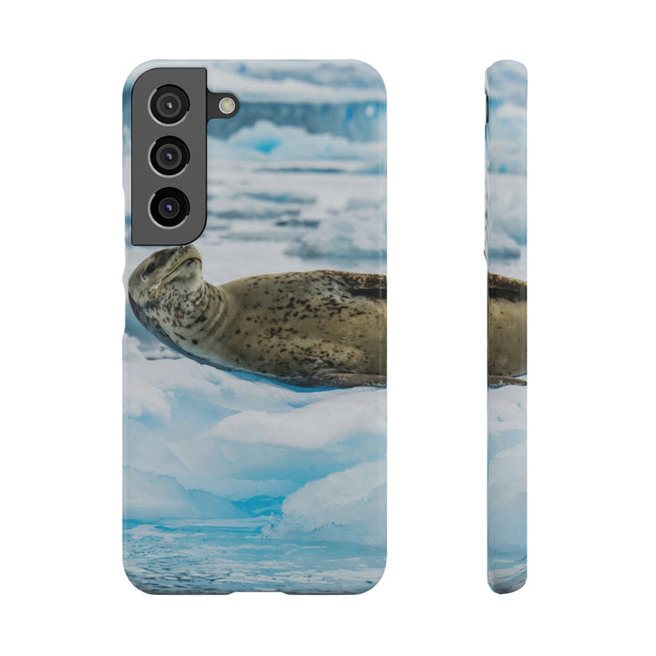 Leopard Seal Relaxing - Phone Case