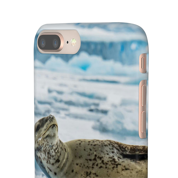 Leopard Seal Relaxing - Phone Case