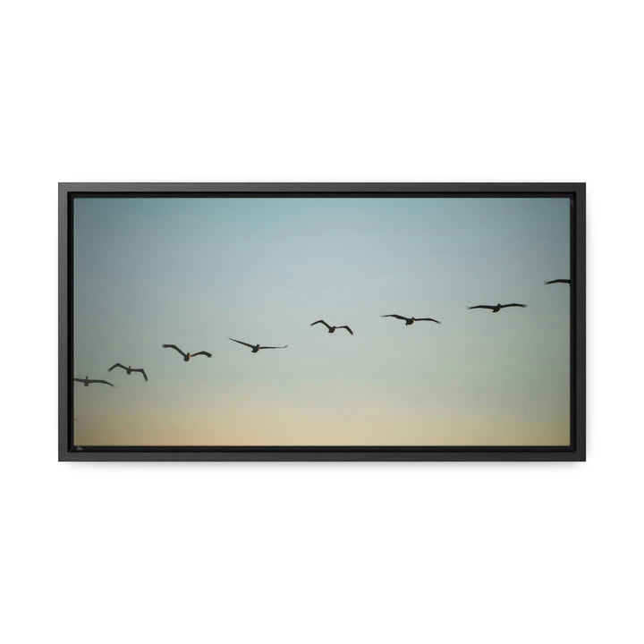 Brown Pelicans in Flight - Canvas with Frame