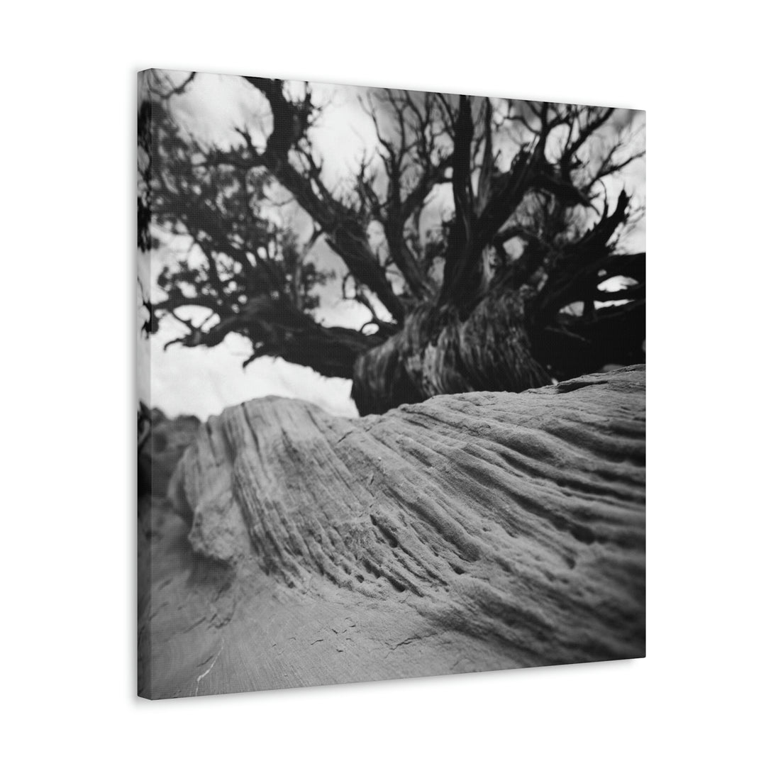 Desert Reach in Black and White - Canvas