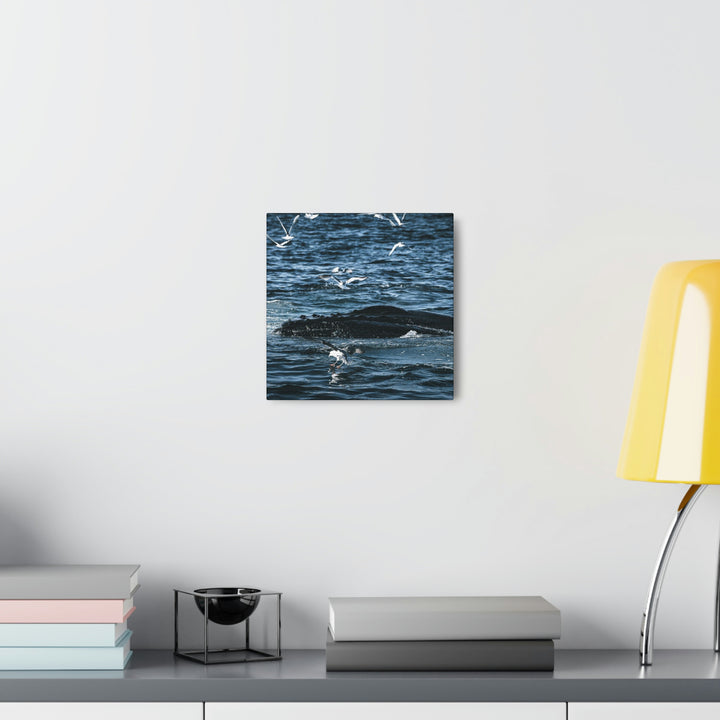 Humpback Hello - Canvas