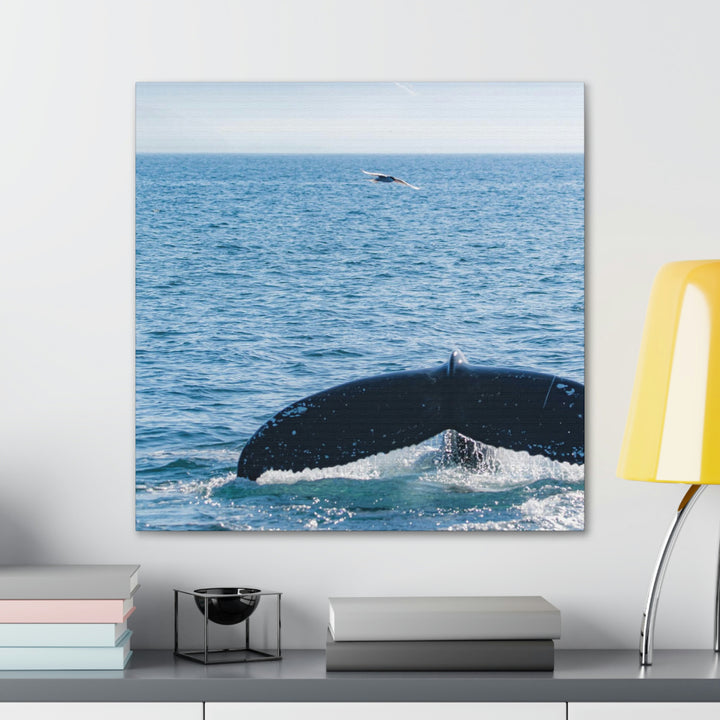 A Whale and A Mountain - Canvas