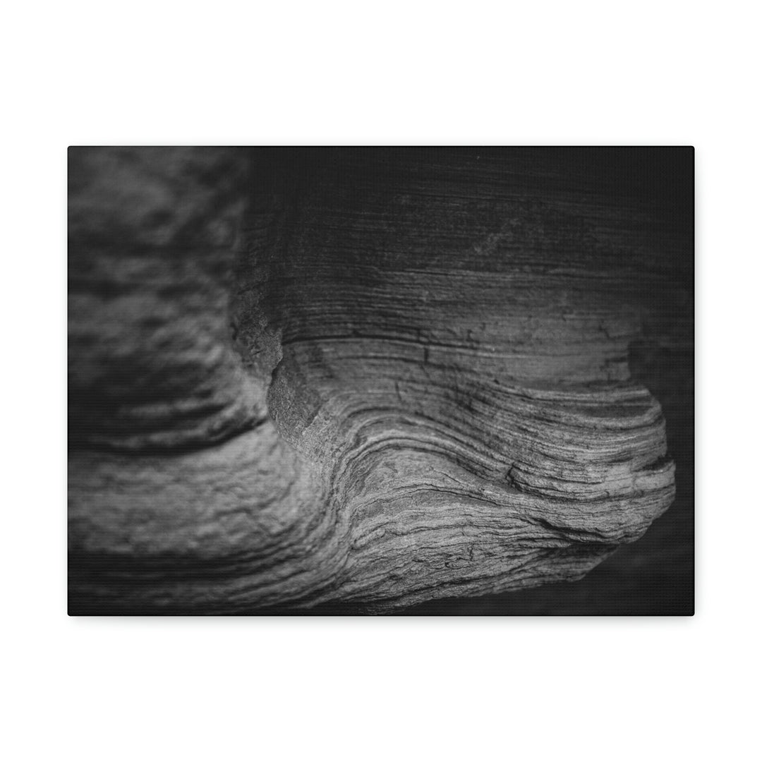 Sedimentary Rock Curves in Black and White - Canvas