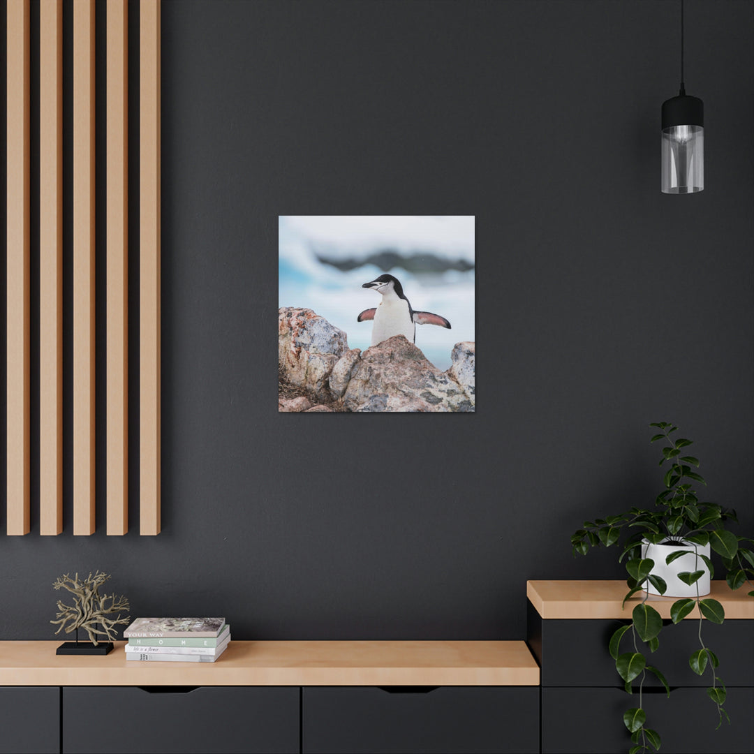 Stretched Penguin - Canvas