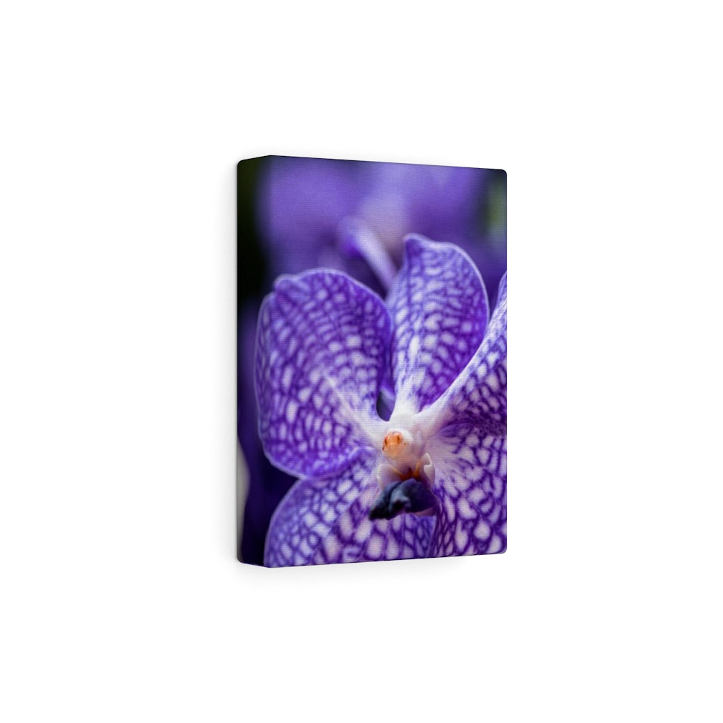 Orchid Detail - Canvas