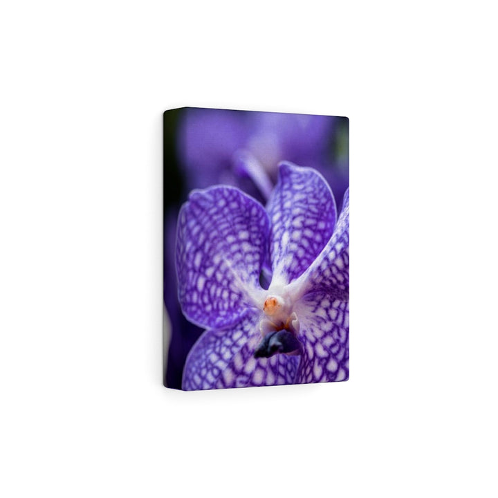 Orchid Detail - Canvas