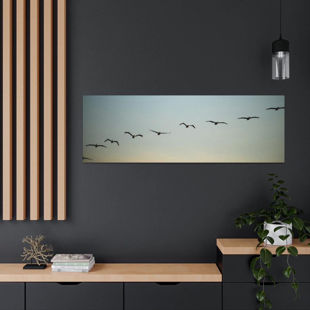 Brown Pelicans in Flight - Canvas