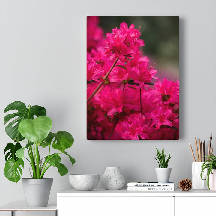 Full Bloom - Canvas