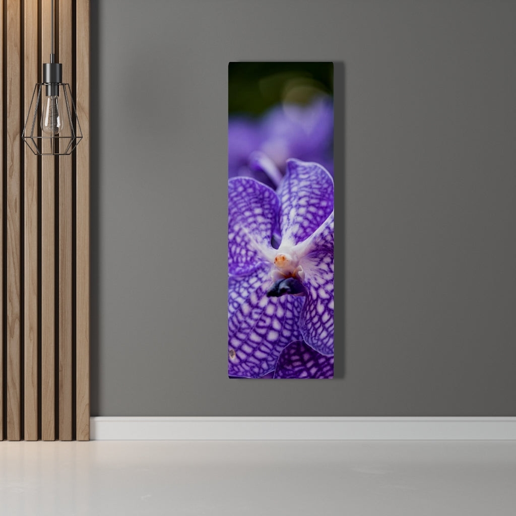 Orchid Detail - Canvas