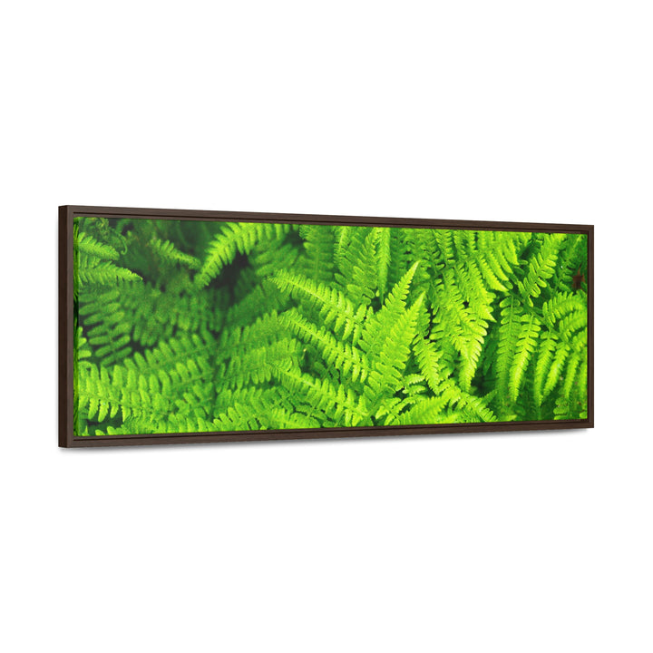 Ferns, Ferns, Ferns - Canvas with Frame