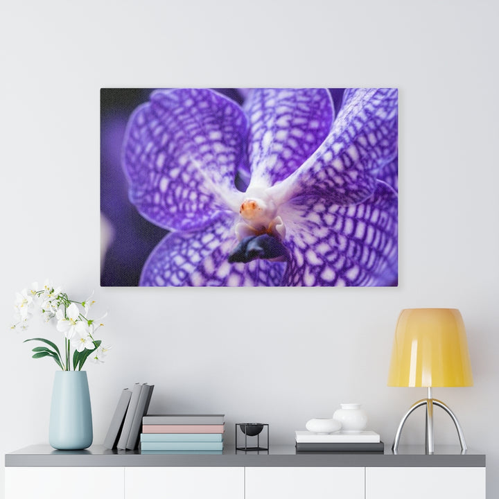 Orchid Detail - Canvas