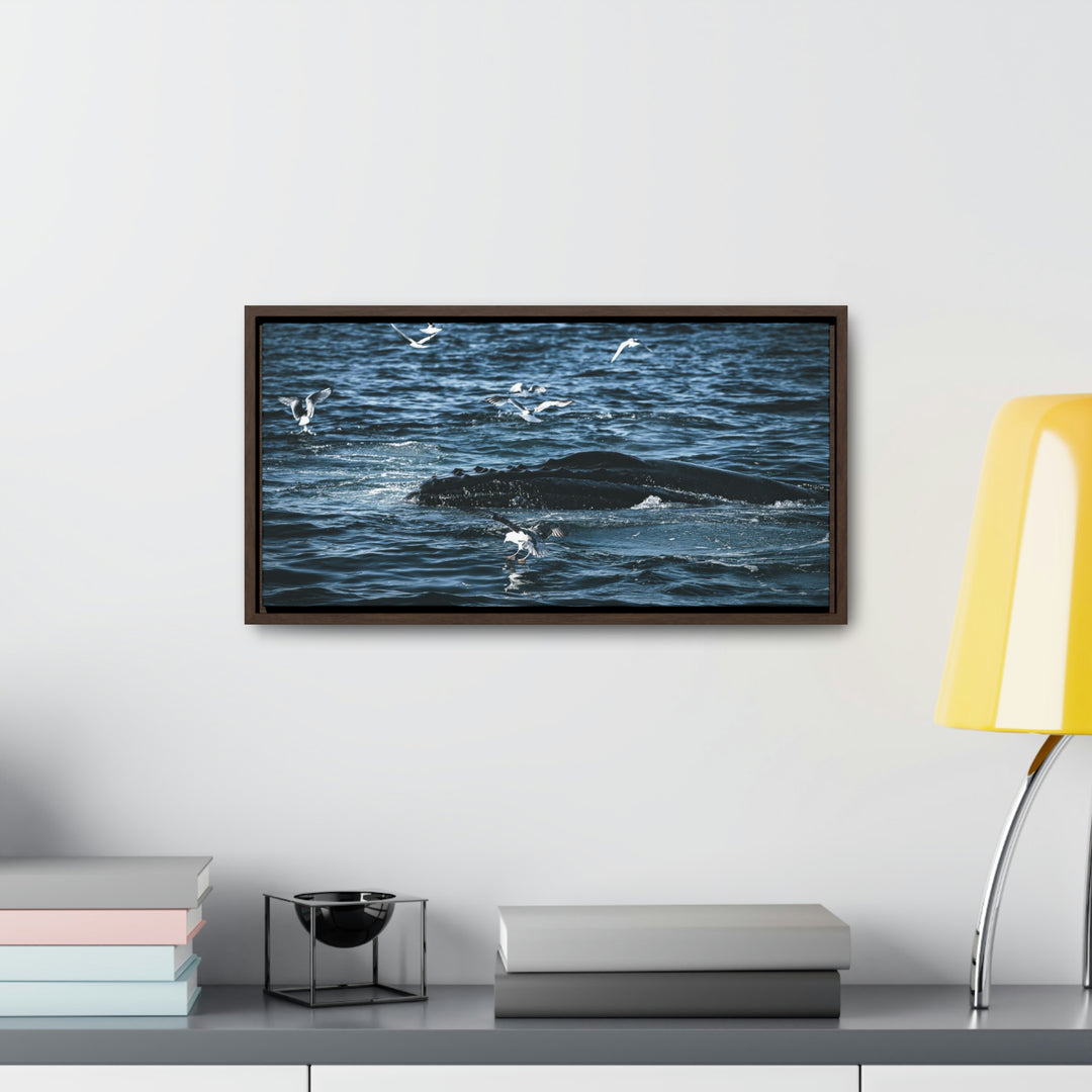 Humpback Hello - Canvas with Frame