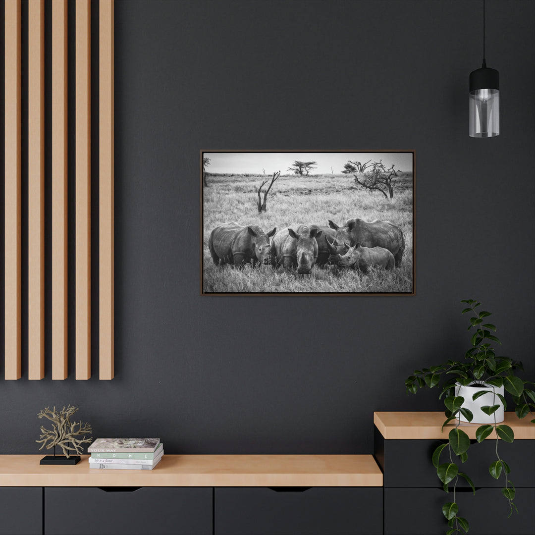 Rhino Family in Black and White - Canvas with Frame