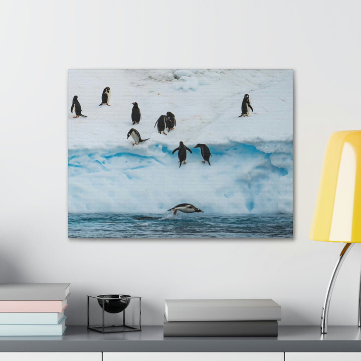 Porpoising Penguin - Canvas