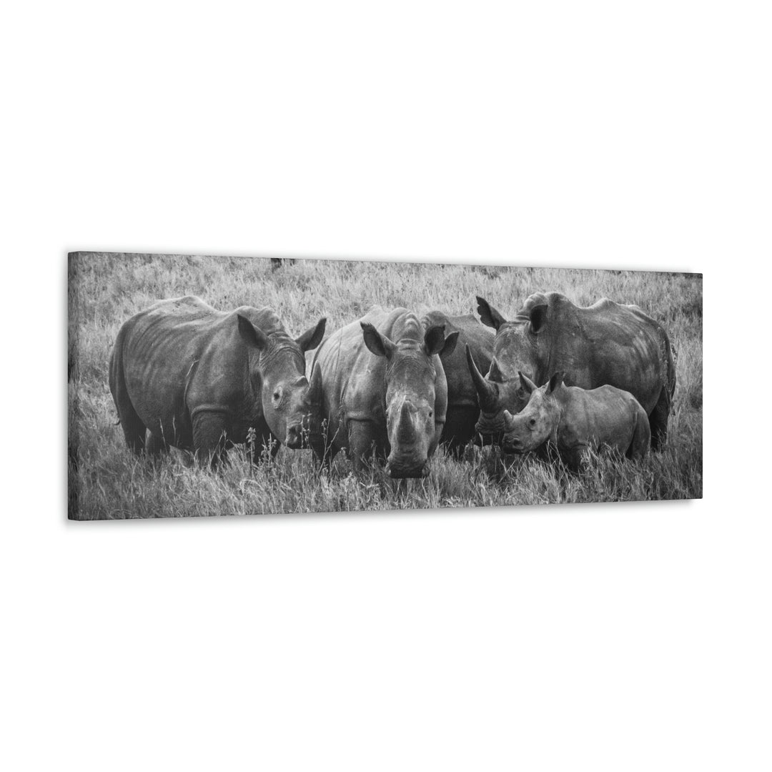 Rhino Family in Black and White - Canvas