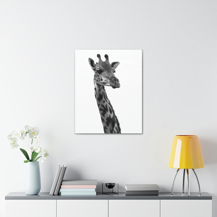 Giraffe Portrait in Black and White  - Canvas