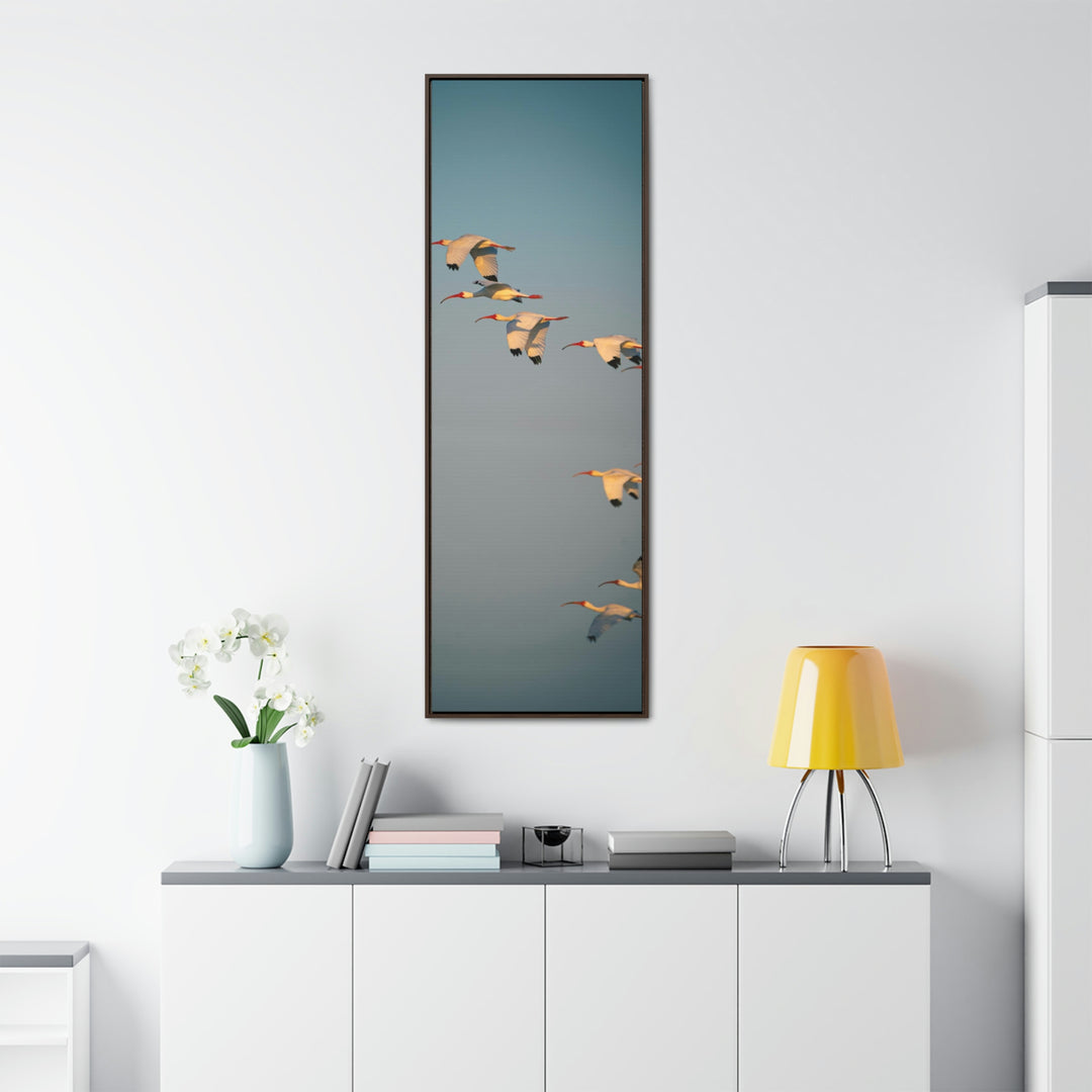 White Ibis in Flight - Canvas with Frame