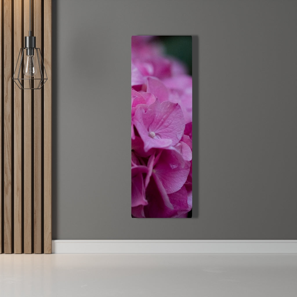 Pink Hydrangea Detail - Canvas