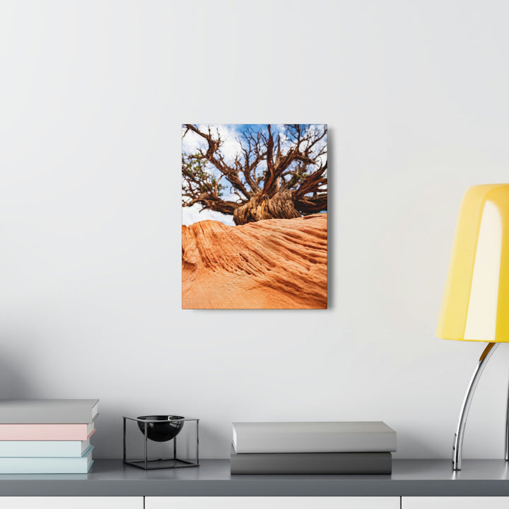 Desert Reach - Canvas