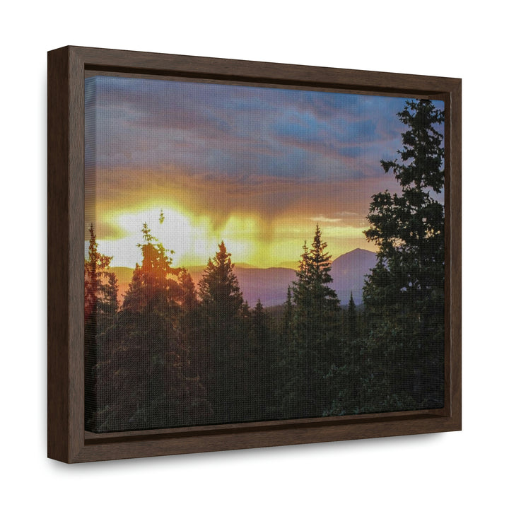 Rainy Sunset Through the Trees - Canvas with Frame