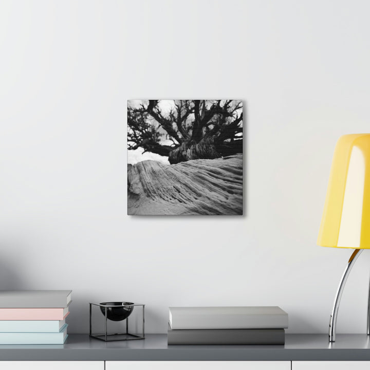 Desert Reach in Black and White - Canvas