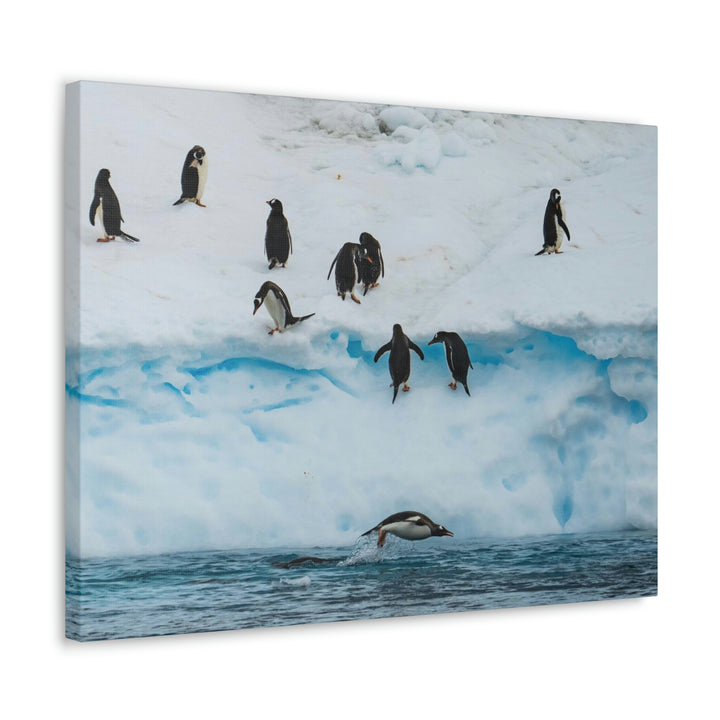 Porpoising Penguin - Canvas