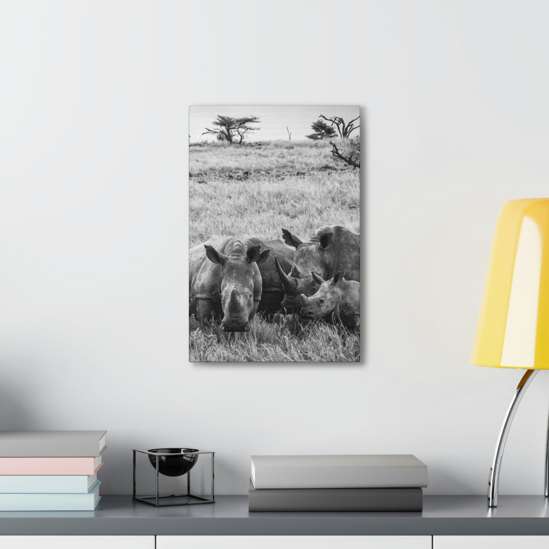 Rhino Family in Black and White - Canvas