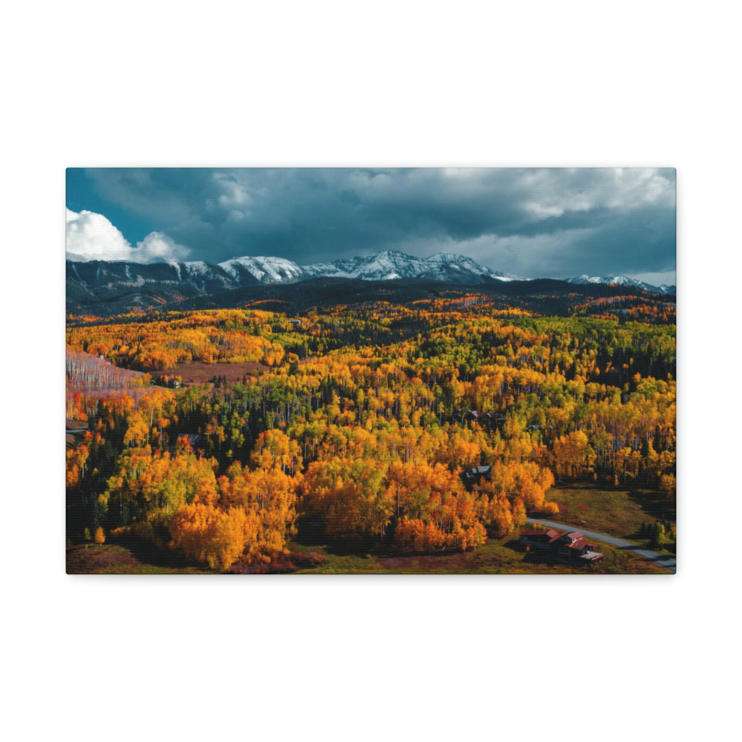 Golds of Autumn - Canvas