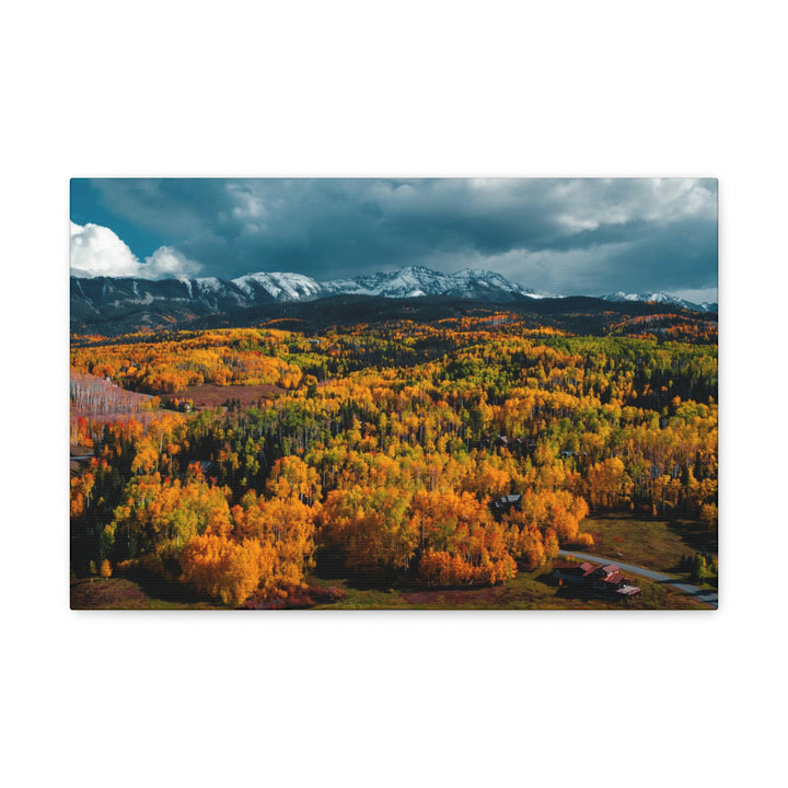 Golds of Autumn - Canvas