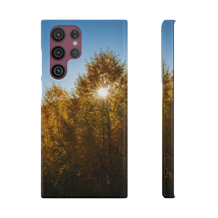 Sun Through the Aspens - Phone Case