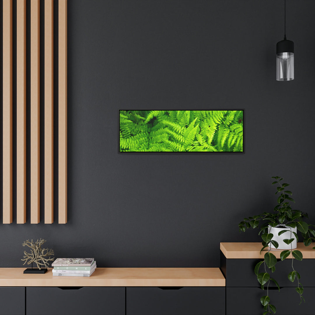 Ferns, Ferns, Ferns - Canvas with Frame