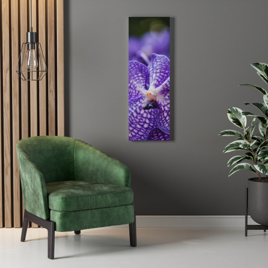 Orchid Detail - Canvas