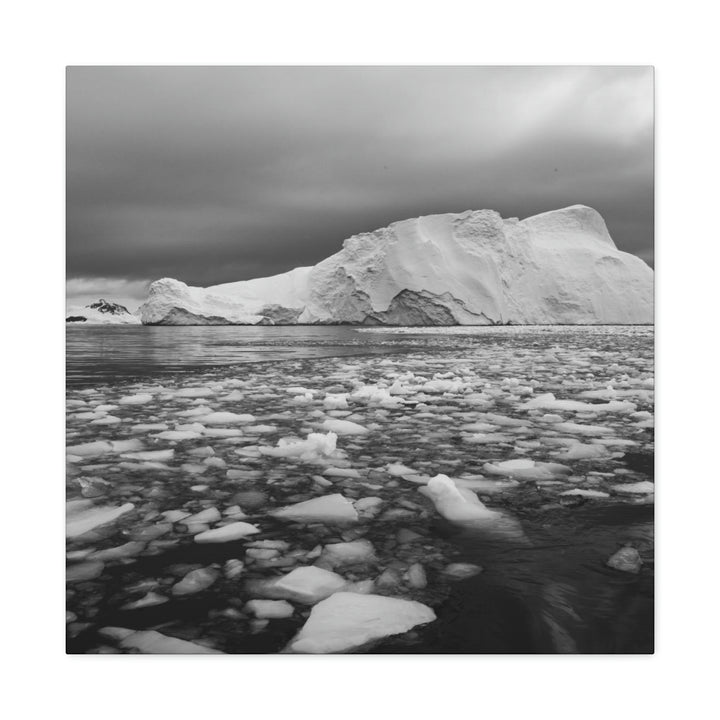 Lane of Ice In Black and White - Canvas