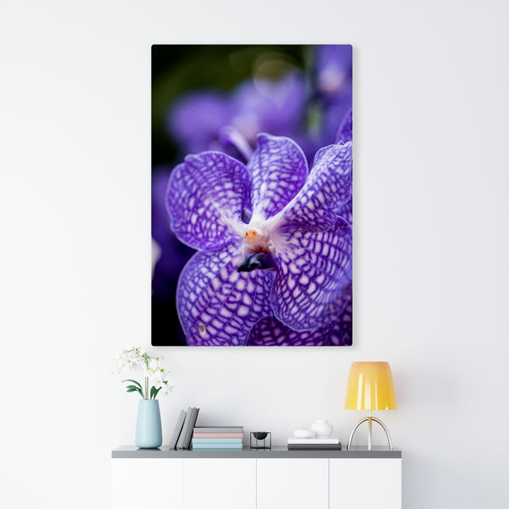 Orchid Detail - Canvas