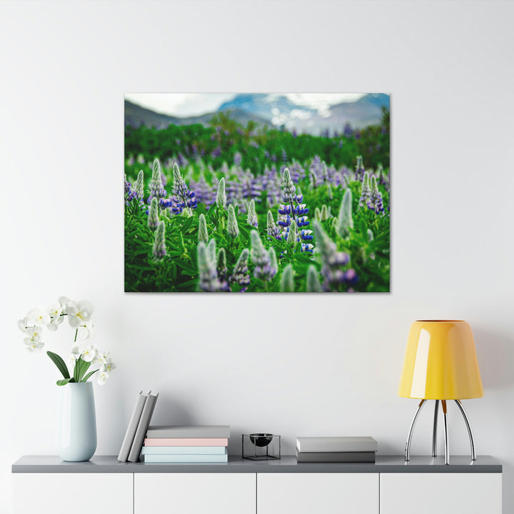 Glowing Lupin with Mountains - Canvas