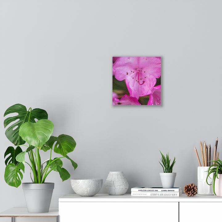 Soft Pinks - Canvas