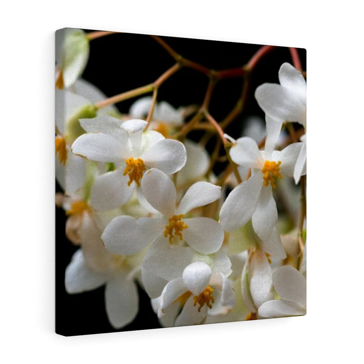 Floral Network - Canvas