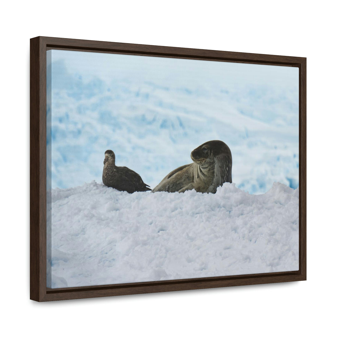 A Resting Pair - Canvas with Frame