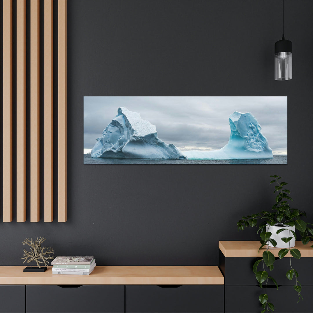 Antarctic Flight - Canvas